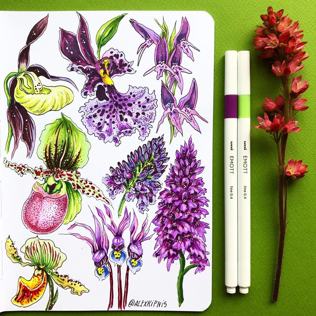 uniball_uk's tweet photo. Floral delights by the ever so talented @alexkipnis - using the wonderful EMOTT colour range.
#EmottEverFine #Emott #UniballEmott #EverFine #PenArt #LineArt #Artsy #Instaart https://t.co/eAwAVODM46