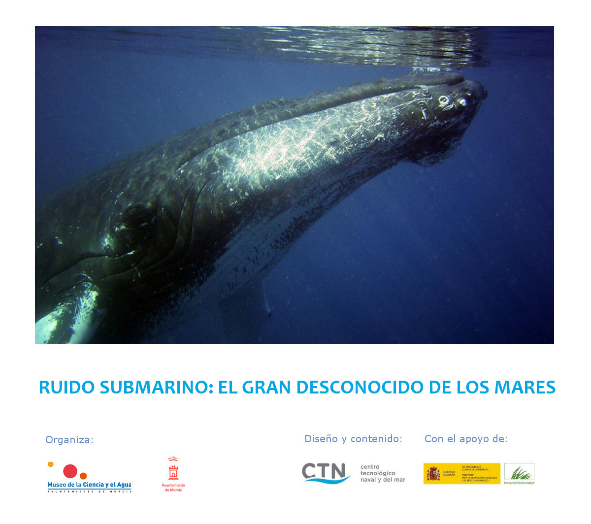 CTNInnova's tweet photo. 📢 🗞️ Medios como @diariolaopinion se hacen eco de nuestra exposición virtual sobre la problemática del #RuidoSubmarino 🌊 publicada en la web del @Museociencia 🖼️ #SILEMAR
¡No te la pierdas! 😉 ➡️ https://t.co/zdLZHpPwoe https://t.co/gPL1WWxB9f