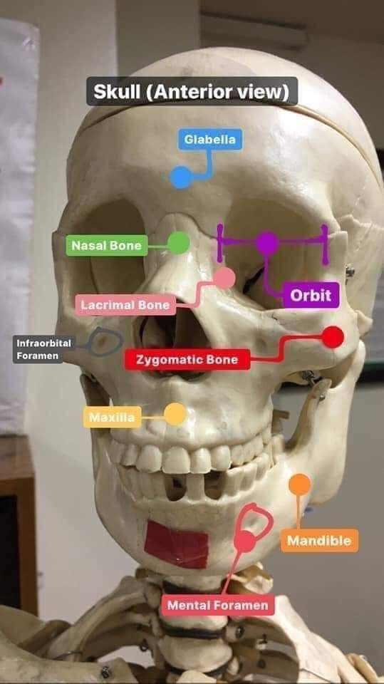 بيت الأشعة ☢️☠️| tweet media