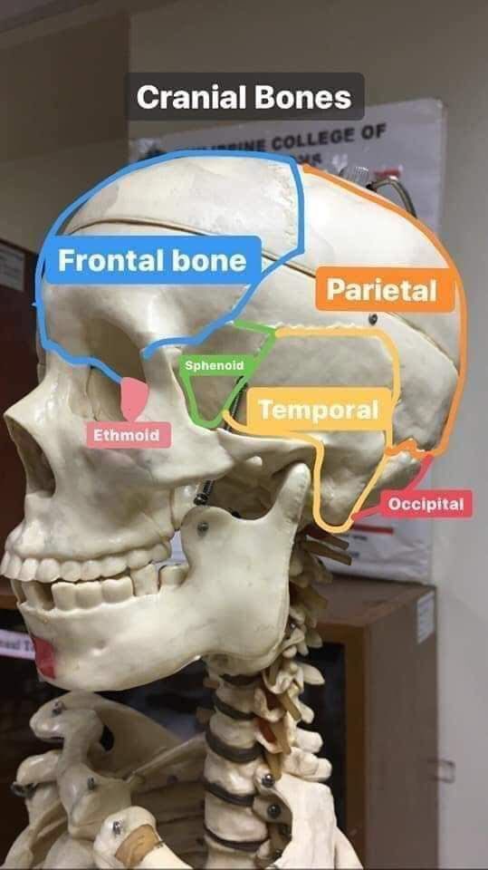 بيت الأشعة ☢️☠️| tweet media