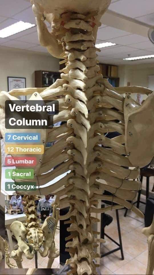 بيت الأشعة ☢️☠️| tweet media