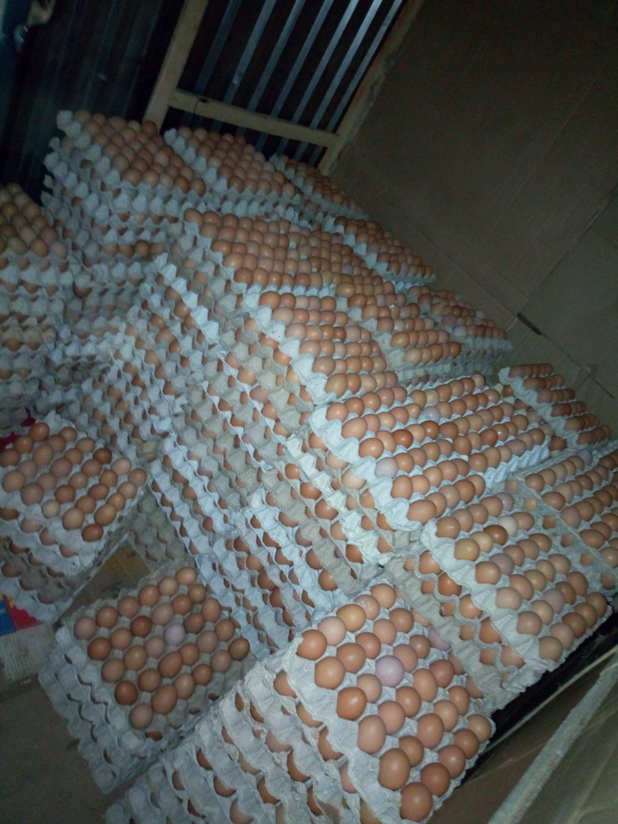 Itsrufcy's tweet photo. @Sadiya_farouq @npower_ng Dear ma. I wish to notify you this is also 4 months I didn't  receive my stipends I have in eggs business if you didn't do something we  may likely return to square 0 pls and pls do something https://t.co/KOLh7aWyVE