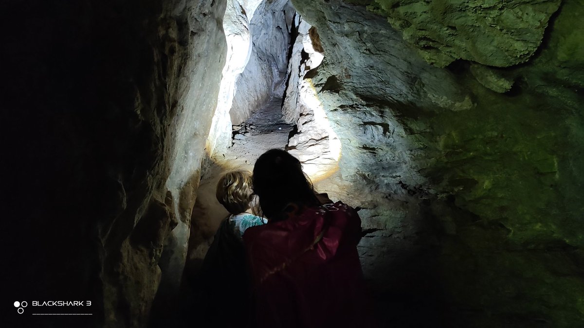 hellforo's tweet photo. Fin de semana silvestre... sin gente 🍀🌱
#cave #cueva #sunny #forest #meadows #mountain #walk #oak #roble #chestnut #castaño #maple #arce #holly #acebo #walnut #nogal #hazel #avellano #fern #bramble #mudpath #summer #nature #shot #nofilter #shotonmyblackshark3 https://t.co/P8eHaqpOWe