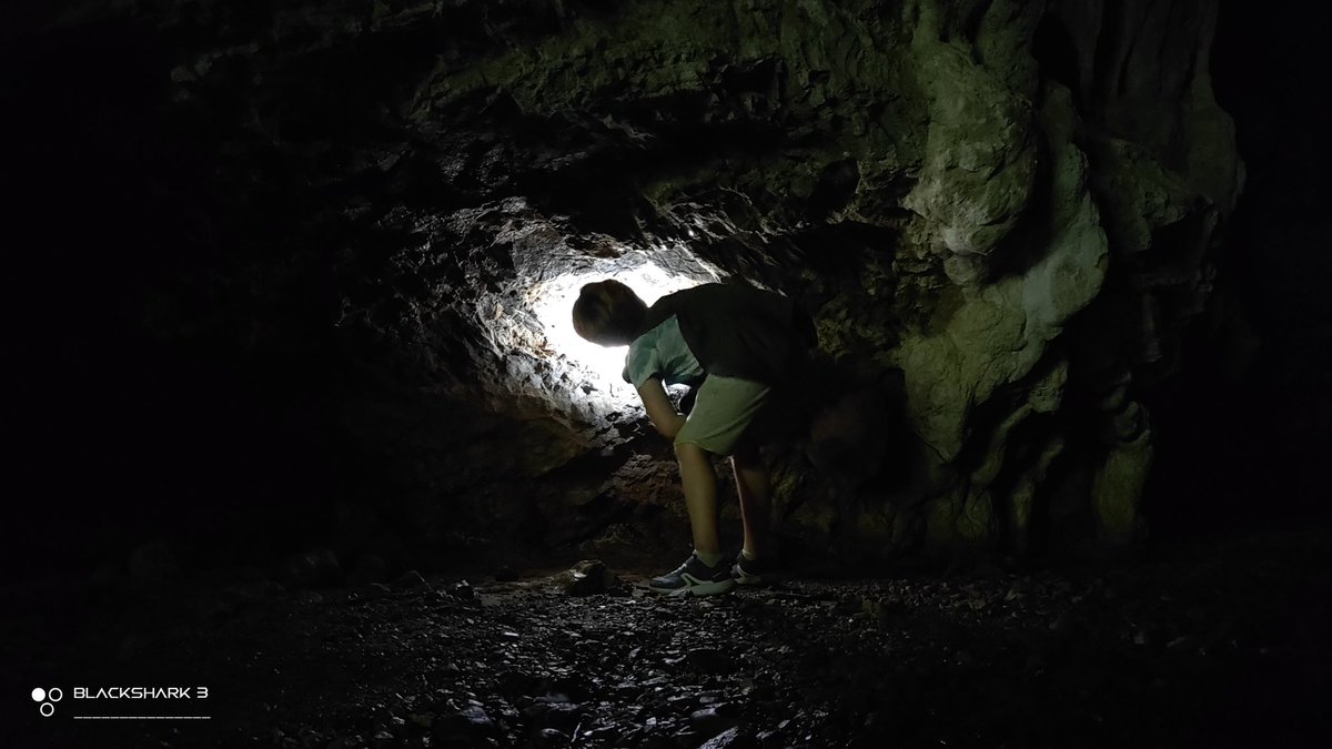 hellforo's tweet photo. Fin de semana silvestre... sin gente 🍀🌱
#cave #cueva #sunny #forest #meadows #mountain #walk #oak #roble #chestnut #castaño #maple #arce #holly #acebo #walnut #nogal #hazel #avellano #fern #bramble #mudpath #summer #nature #shot #nofilter #shotonmyblackshark3 https://t.co/P8eHaqpOWe