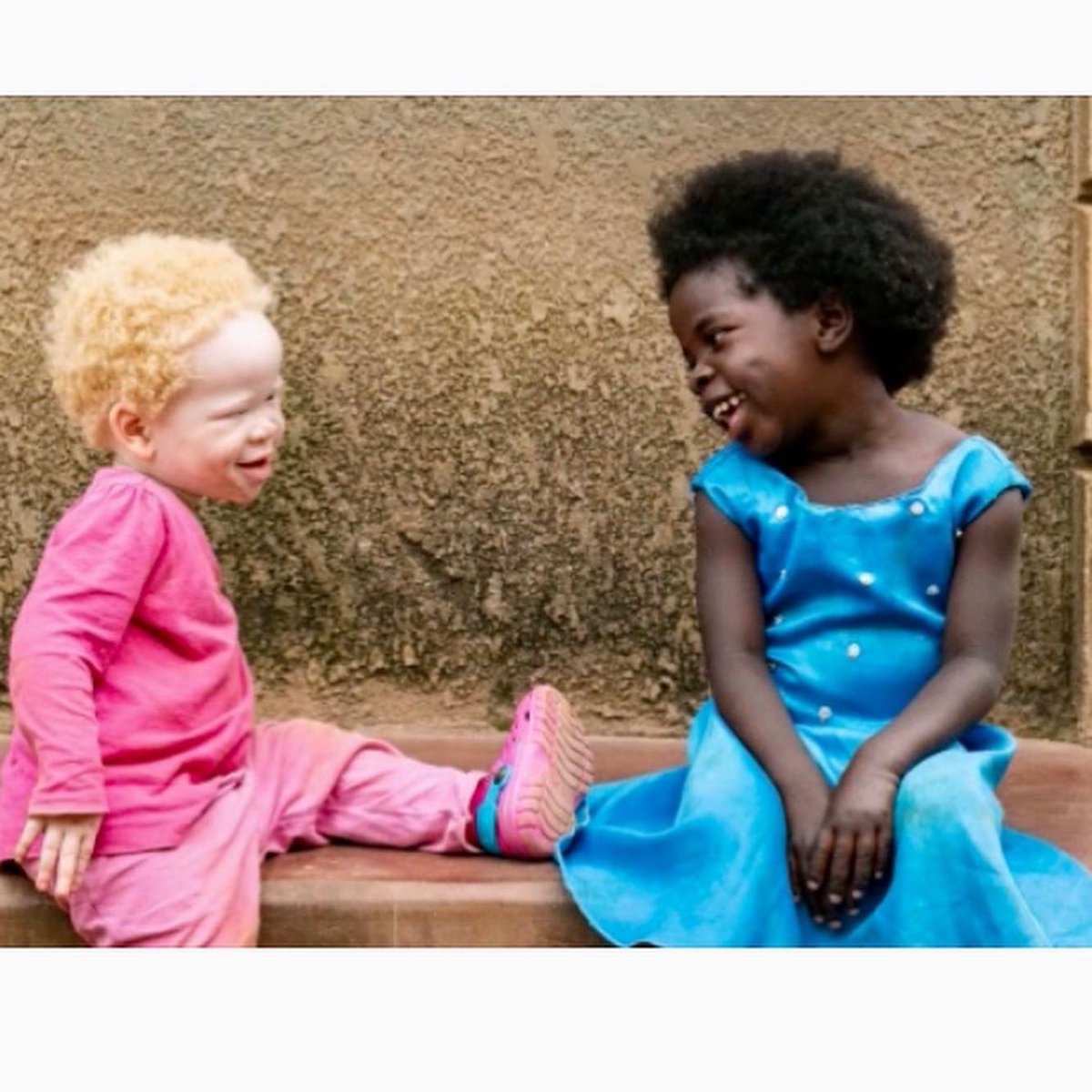 Asociación Tabaiba tweet media