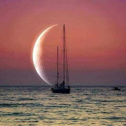 유지나 ♡작가♡ tweet media