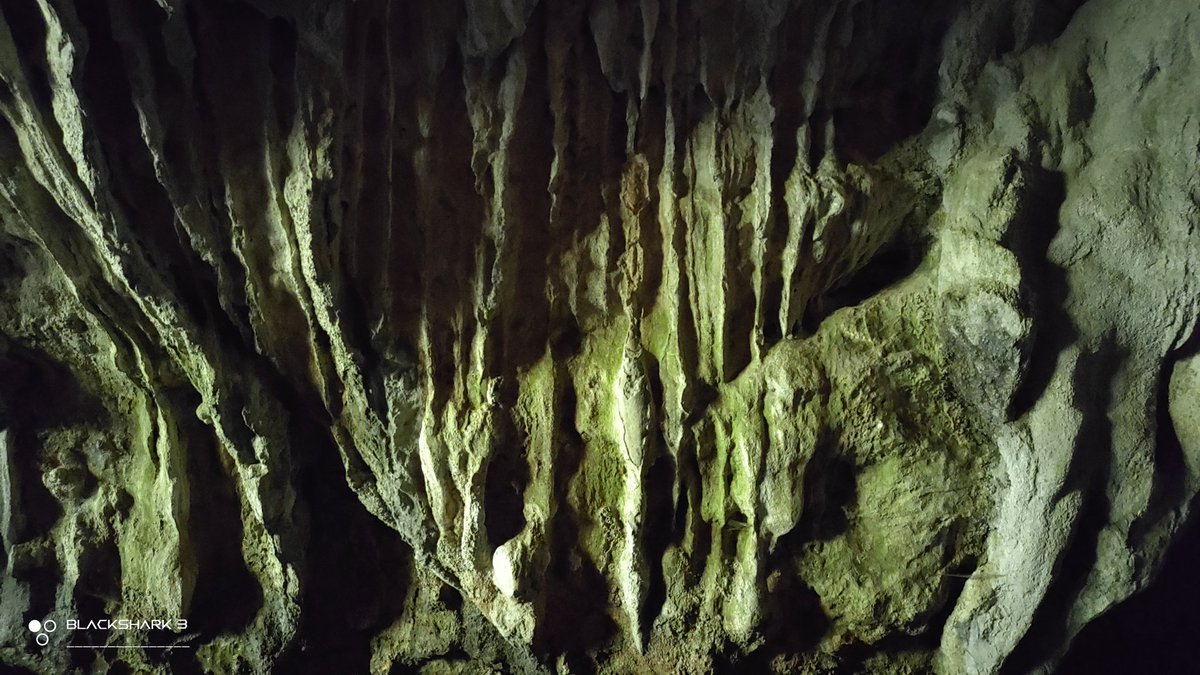 hellforo's tweet photo. Fin de semana silvestre... sin gente 🍀🌱
#stone #cave #cueva #sunny #forest #meadows #mountain #walk #oak #roble #chestnut #castaño #maple #arce #holly #acebo #walnut #nogal #hazel #avellano #fern #bramble #mudpath #summer #nature #shot #nofilter #shotonmyblackshark3 https://t.co/17rzgG9gMD