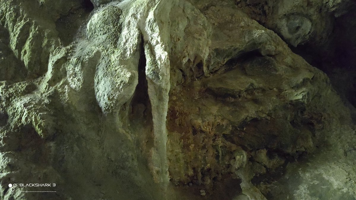hellforo's tweet photo. Fin de semana silvestre... sin gente 🍀🌱
#stone #cave #cueva #sunny #forest #meadows #mountain #walk #oak #roble #chestnut #castaño #maple #arce #holly #acebo #walnut #nogal #hazel #avellano #fern #bramble #mudpath #summer #nature #shot #nofilter #shotonmyblackshark3 https://t.co/17rzgG9gMD