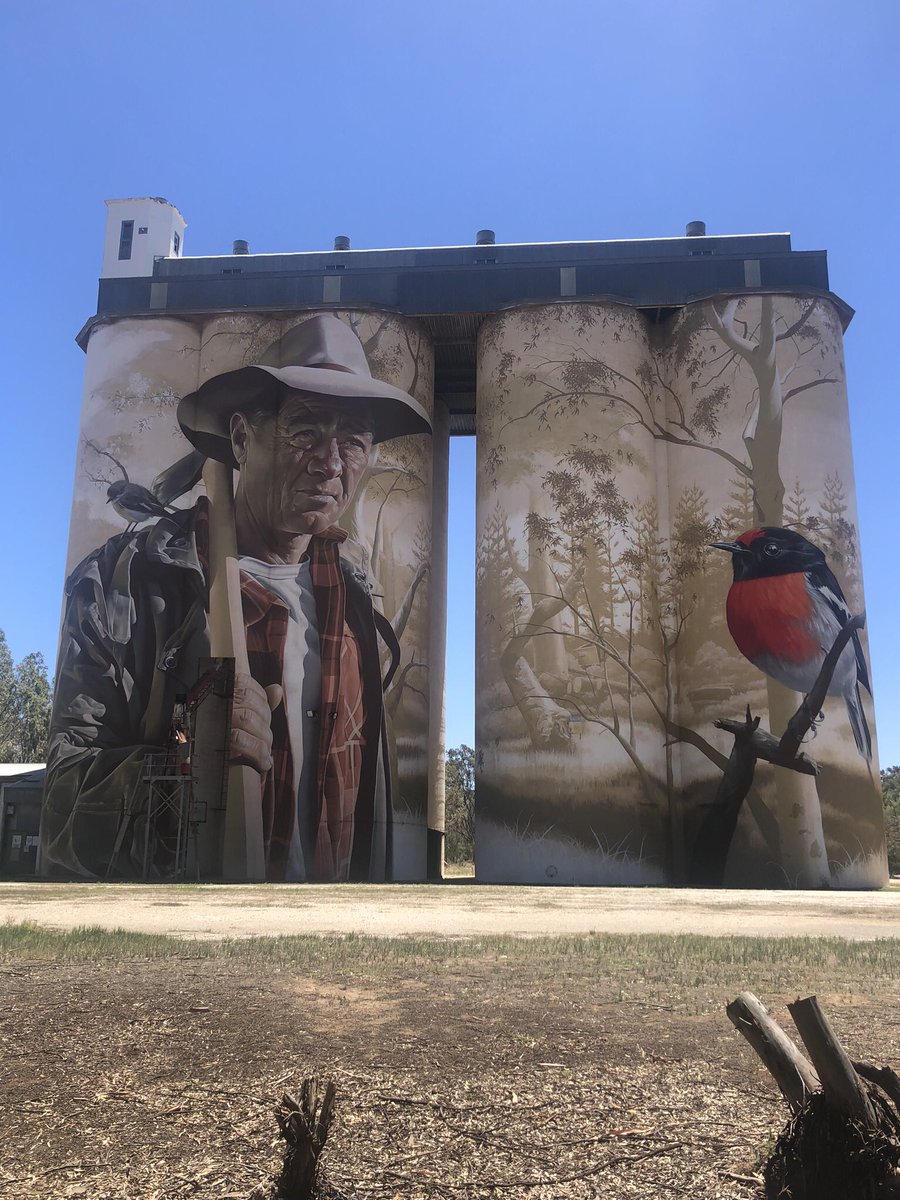 PeteDowning10's tweet photo. @apasztor82 Howdy Andy. Thought you may like to see some more silo art. The left one is just down the road from me at Wirrabara, South Australia. Right one is of my Western Star at the Tumby Bay silo, South Australia. Tumby has beautiful beaches and great fishing. Cheers mate. https://t.co/seAO9X3sLT