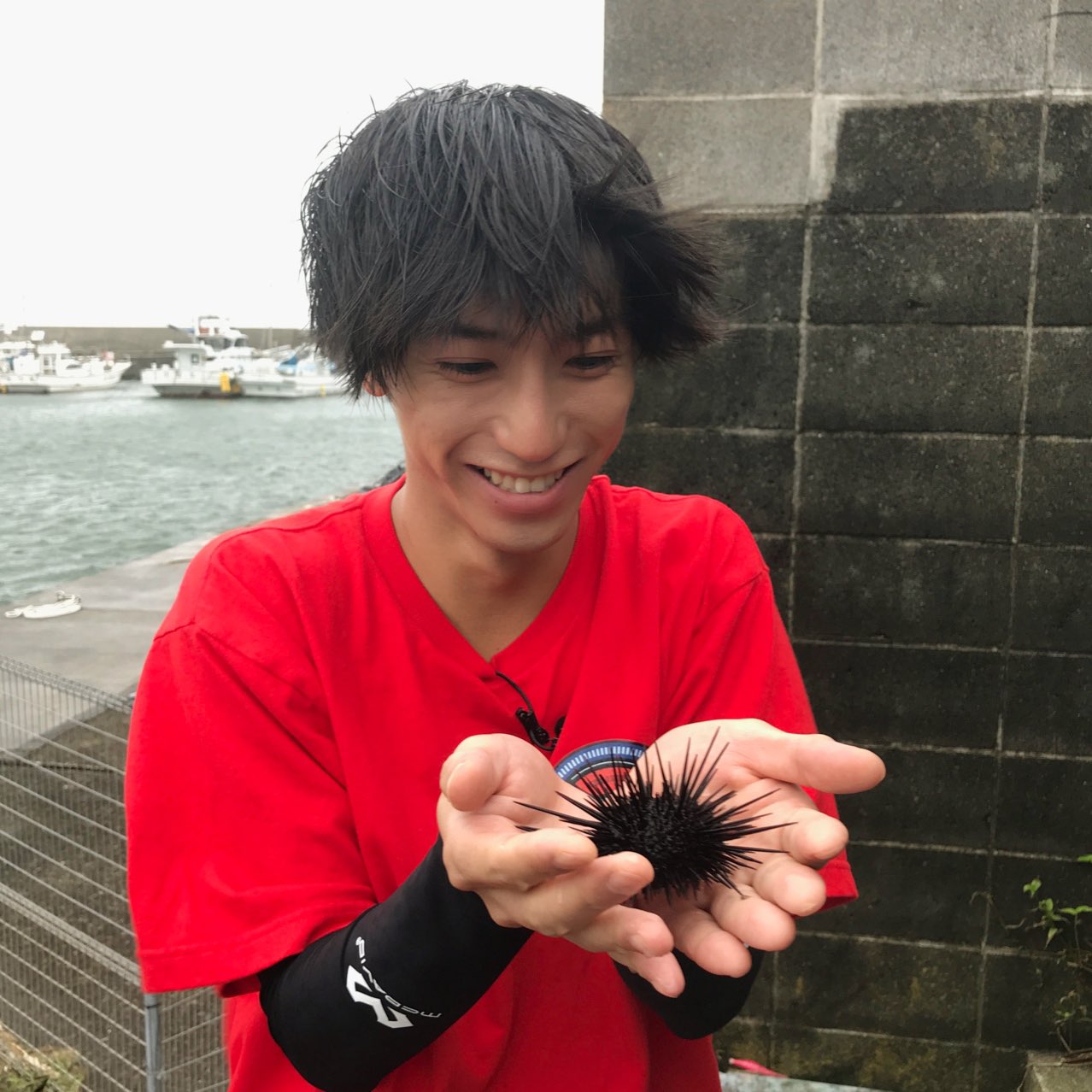 奥谷知弘 知ってるかい このウニ キャベツ食べて育ってるんだぜ どっちがウニかわからないほど直毛 T Co S1ovjlahzy Twitter 奥谷知弘 知ってるかい このウニ キャベツ食べて育ってるんだぜ どっちがウニかわからないほど直毛 T Co S1ovjlahzy Twitter