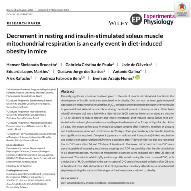 Article from <a href="/ExpPhysiol/">Experimental Physiology</a>! Decrement in resting and insulin-stimulated soleus muscle mitochondrial respiration is an early event in #DietInducedObesity in mice. | #InsulinResistance #MitochondrialFunction | Author: <a href="/Andrezadebem/">Andreza Fabro de Bem</a>
doi.org/10.1113/EP0873…
