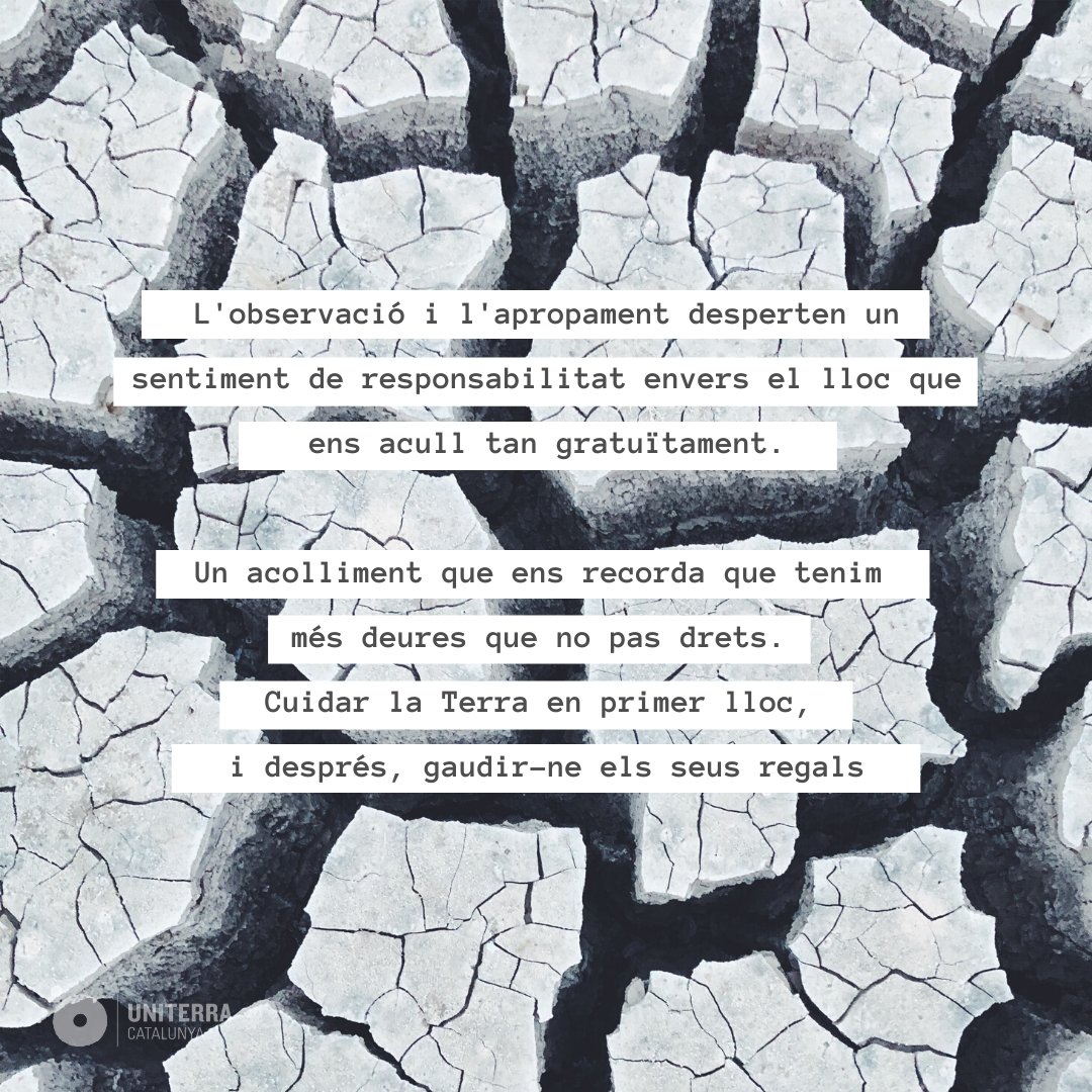 Uniterra tweet media