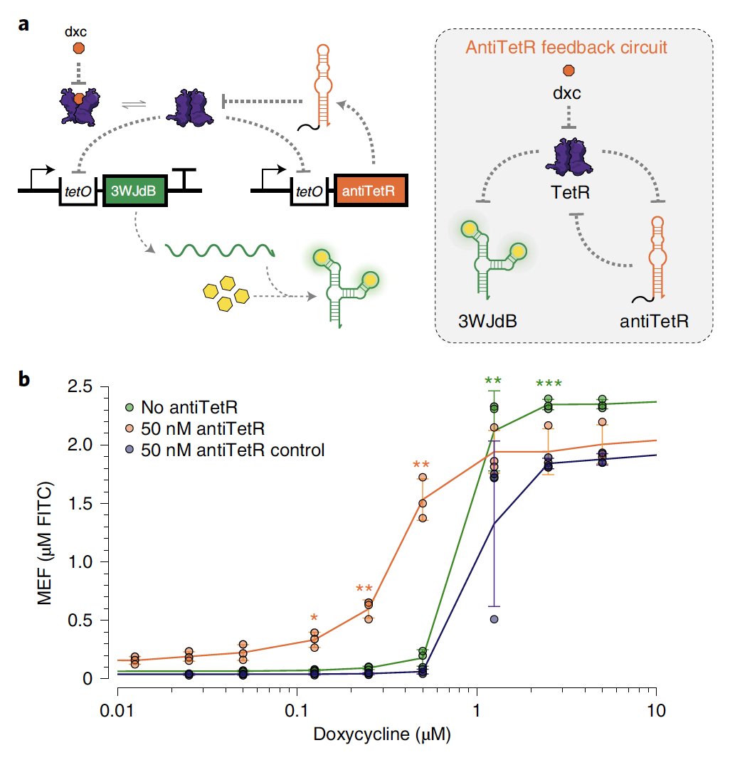 Is ROSALIND sensitive? Yes! Here's another awesome RNA feedback circuit to improve sensitivity for antibiotics. Thanks to  @suess_lab, we could use their anti-TetR aptamer in a feedback loop to shift the TetR dose response curve. (6/10)