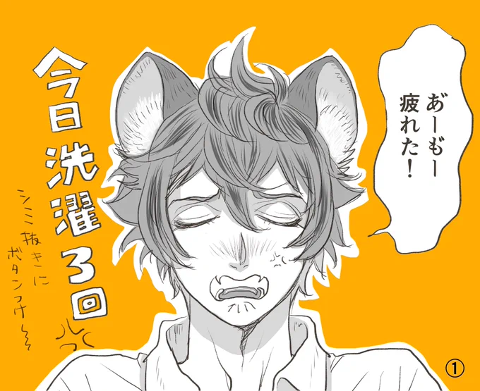 ラギー先輩は癒されたい。
(ジャック君SSR祈願!!!) 