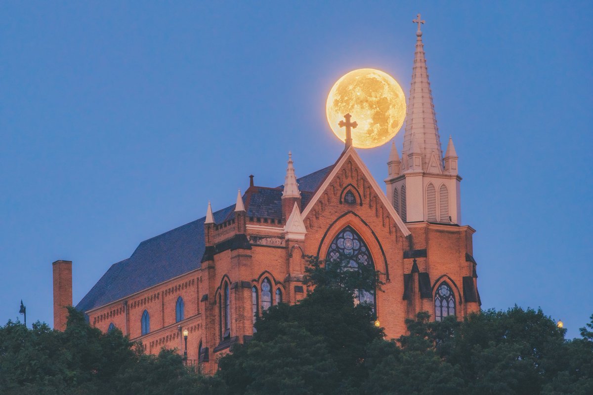 Dave DiCello tweet media