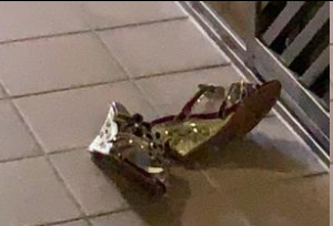 同好分享 驚險刺激經歷~ 剛好遇到鞋主...拿了去玩 放回去卻被發現了..幸好跑掉了 嚇壞同好  #扫楼 #恋足 #打胶  #原味 #射鞋 #Cumshoes #射平底鞋 #Cumflats https://t<a href="/tag/%E5%8E%9F%E5%91%B3"class="tags"><span>#原味</span></a><a href="/tag/%E6%81%8B%E8%B6%B3"class="tags"><span>#恋足</span></a><a href="/tag/cumshoes"class="tags"><span>#cumshoes</span></a><a href="/tag/%E6%89%AB%E6%A5%BC"class="tags"><span>#扫楼</span></a><a href="/tag/%E6%89%93%E8%83%B6"class="tags"><span>#打胶</span></a><a href="/tag/%E5%B0%84%E9%9E%8B"class="tags"><span>#射鞋</span></a><a href="/tag/%E5%B0%84%E5%B9%B3%E5%BA%95%E9%9E%8B"class="tags"><span>#射平底鞋</span></a><a href="/tag/cumflats"class="tags"><span>#cumflats</span></a>