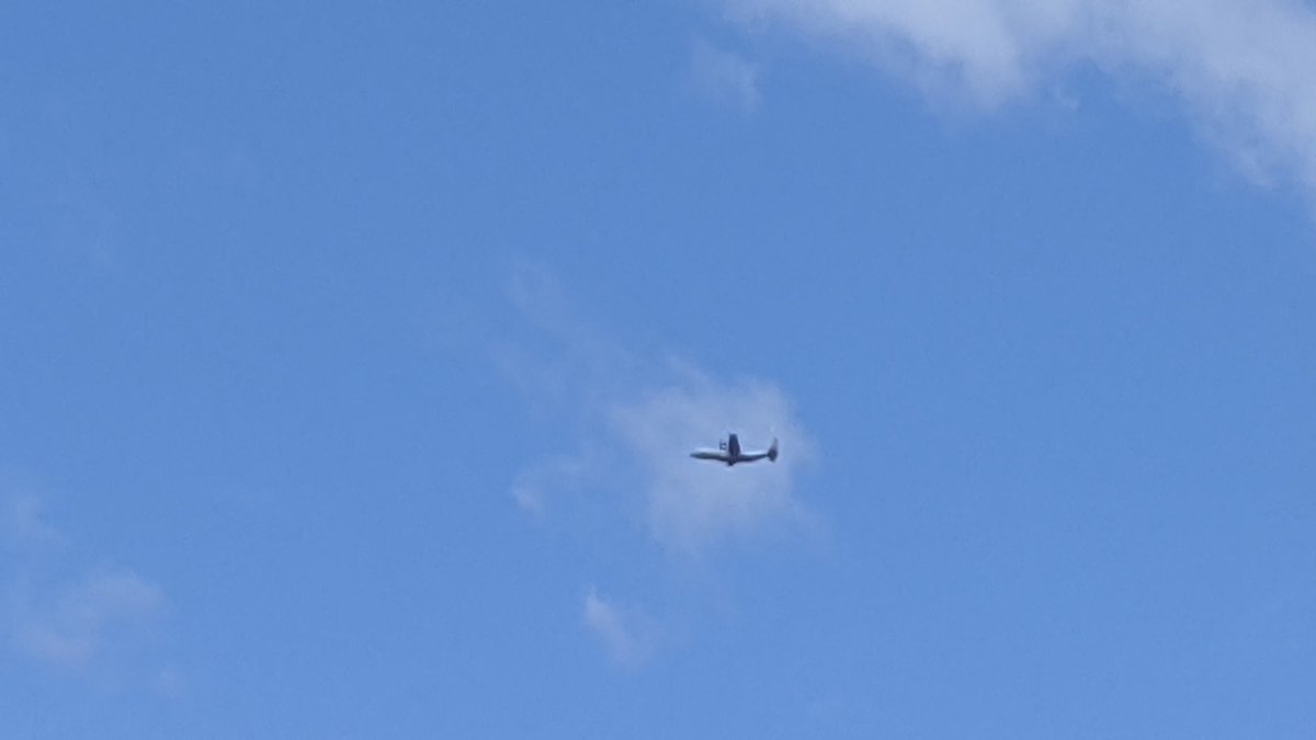 blackrat tweet media