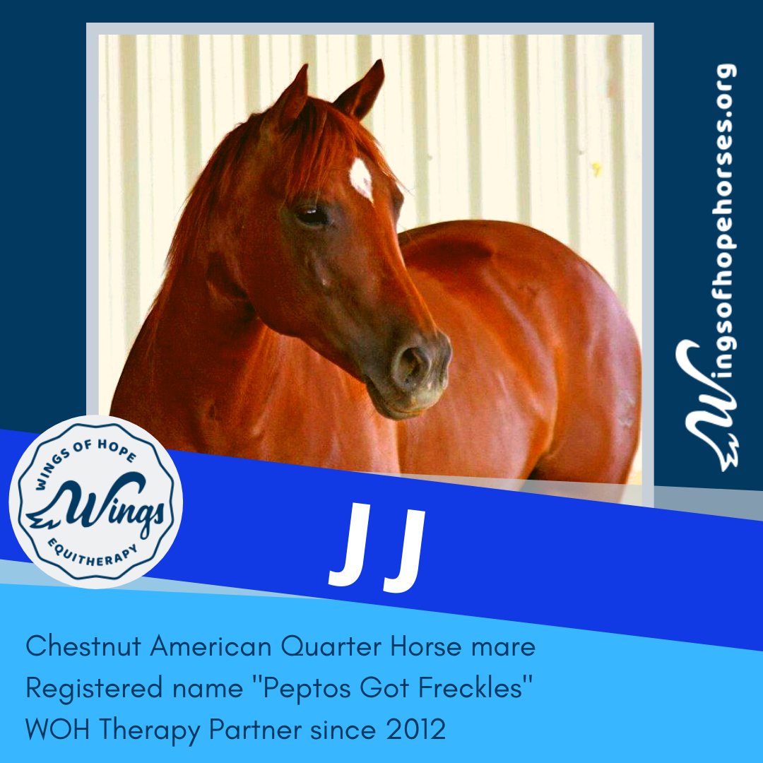 Wingsofhopeequi's tweet photo. #MeettheHerdMonday π΄ JJ is a chestnut #aqha mare. Her registered name is Pepto's Got Freckels, but we call her JJ for her "JJ" brand on her hip. JJ's soft, kind & gentle nature make her a barn favorite. #wingsofhopeequitherapy #therapyhorse #equitherapy #hopehealinghorses https://t.co/jnl1Vkvikw