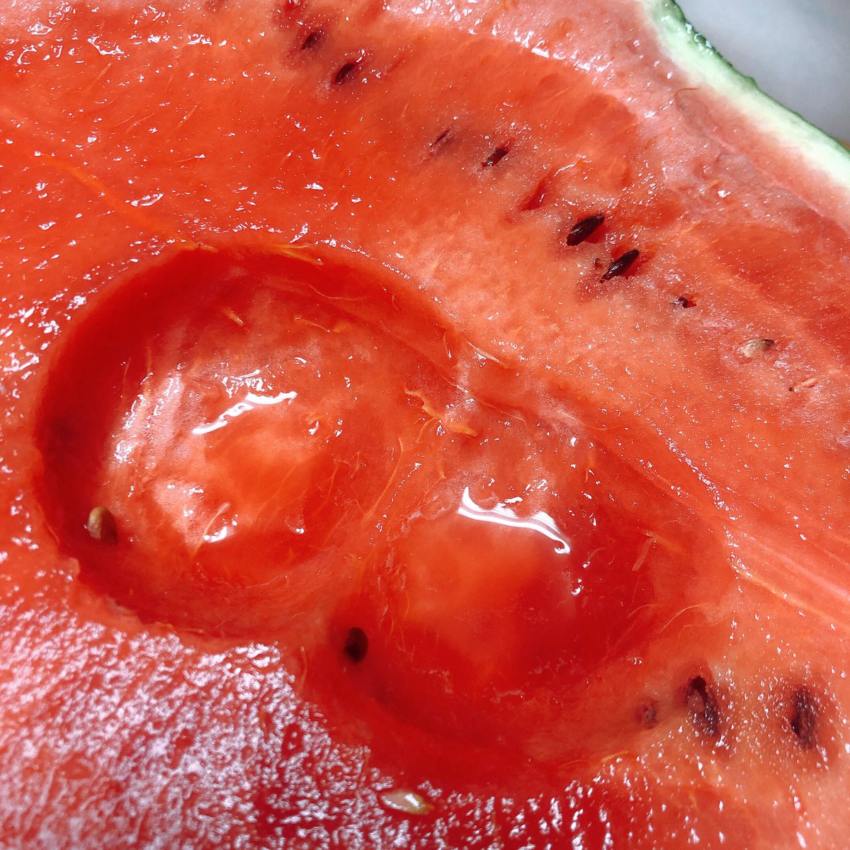 누가누가 떠먹은 수박일까요??
알아맞혀 보세요~🍉🍉🍉 

#답은 #이안에있다 #🦊🌈