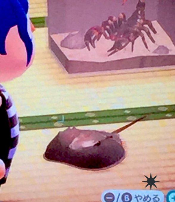 カブトガニのtwitterイラスト検索結果 古い順