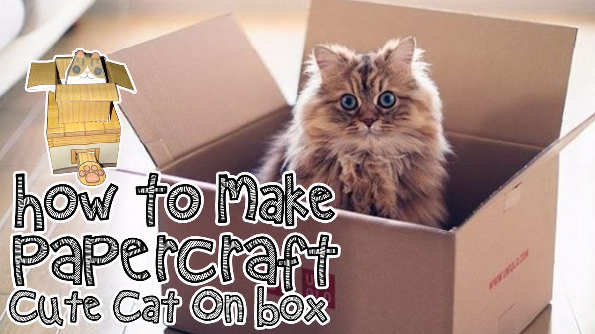 How To Make ##Papercraft Cute ...
 
#Cats #Cat #Kittens #Kitten #Kitty #Pets #Pet #Meow #Moe #CuteCats #CuteCat #CuteKittens #CuteKitten #MeowMoe #ArtsAndCrafts #AutomataToys #Automaton #Craft #CraftIdeasForKids #CraftProject #CuteCats
 
meowmoe.com/673126/how-to-…