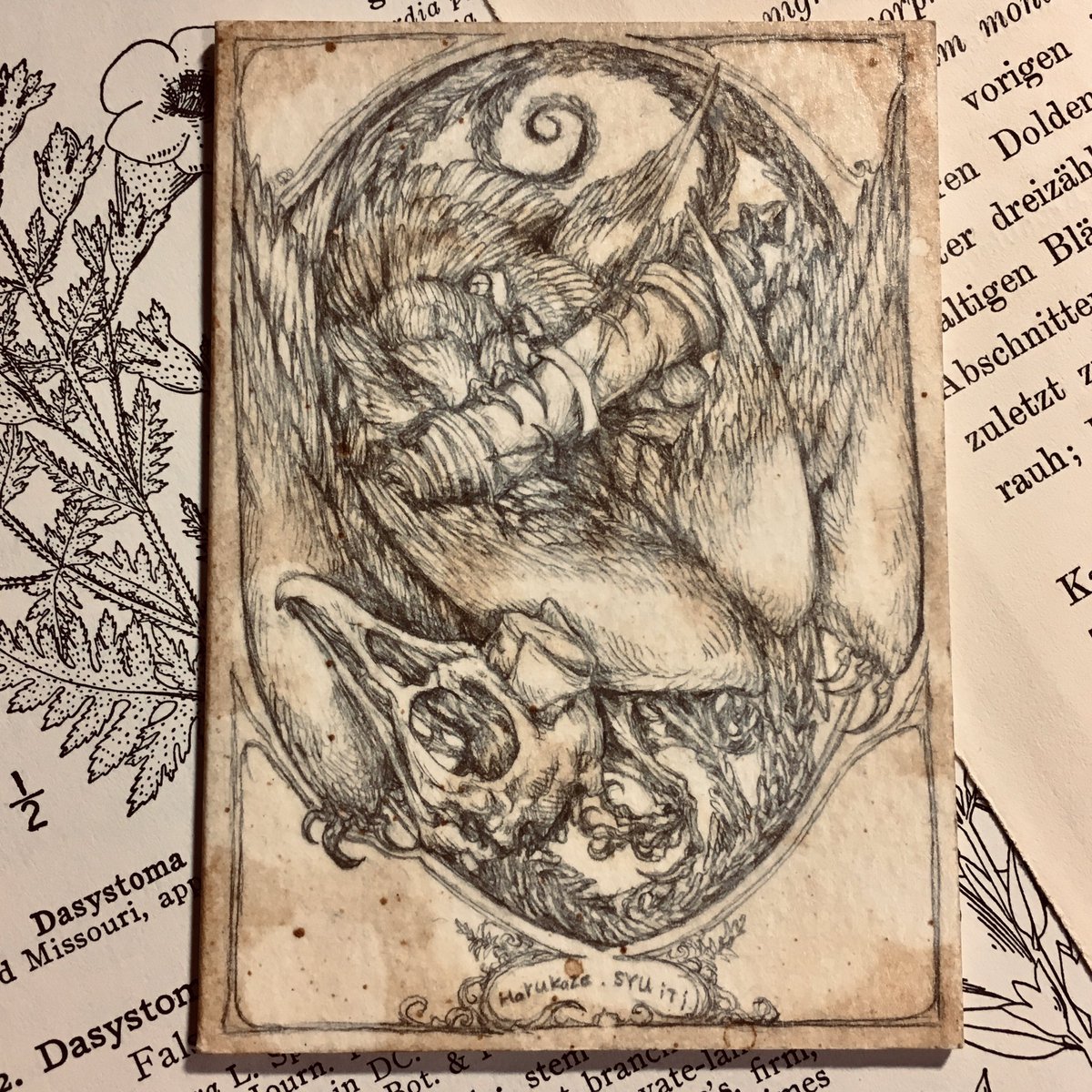 手書きタロットカード 死神 と 節制 のカード お気に入りの死神鳥さん 節制 ハルカゼ Croquis の漫画