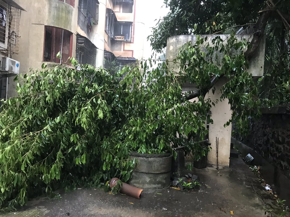 RANA BHATIA tweet media