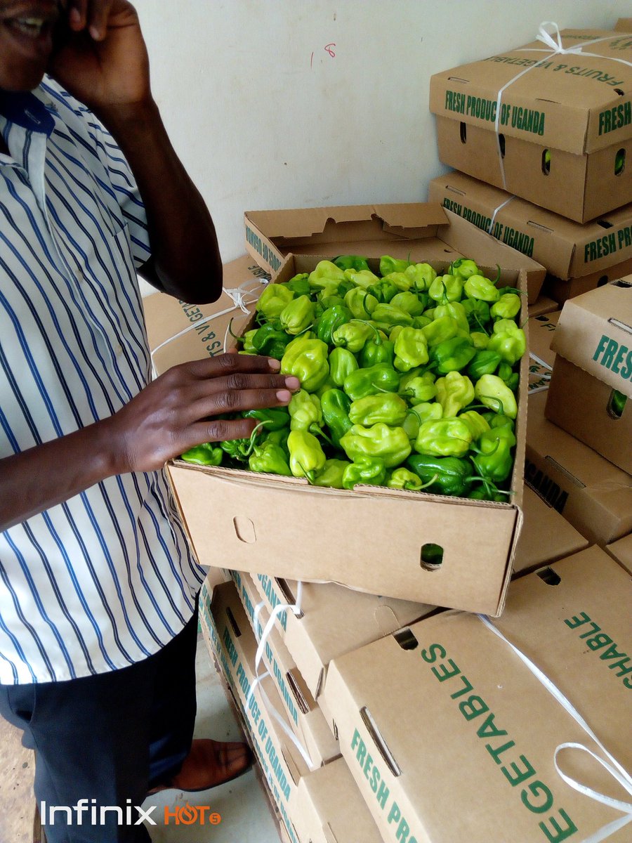 North Fruits Uganda Limited tweet media