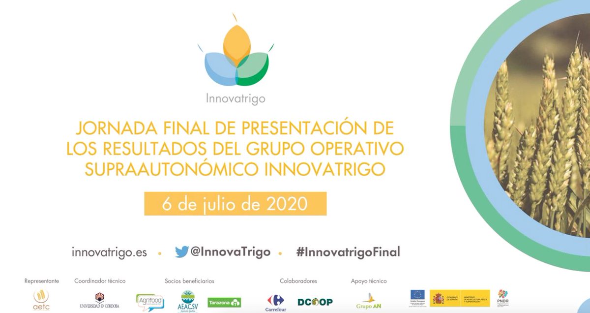 InnovaTrigo's tweet photo. 🌾¡Muchas gracias a todos los participantes! @EspOrellana
 @RosaGallardo15 @Univcordoba @tec_cerealistas @GrupoAN_Natural @europastry1987 @ETSIAMCordoba @CarrefourES Harinera La Meta, Tarazona y @Agrifoodcom 

#InnovatrigoFinal #Innovatrigo #GOInnovatrio https://t.co/BLY6Z2QmNN