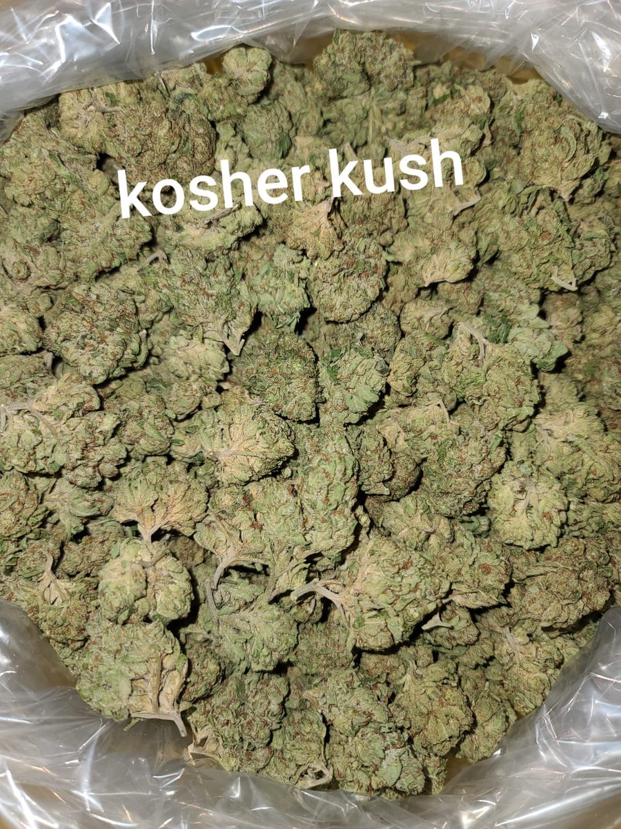 NUGS_stock's tweet photo. Good morning Cannabis Strategic Ventures shareholders. Today we continue to share w/you our $NUGS #farm top sellers. “Kosher Kush” Winner of High Times #Cannabis Cup’s Best #Indica in 2010 and 2011, as well as Best Strain in 2011, it produces staggering levels of #THC. https://t.co/RtHj1HvsNf