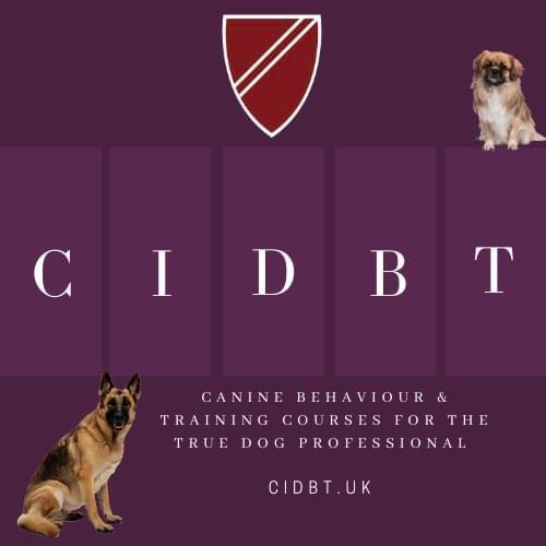 CIDBT tweet media
