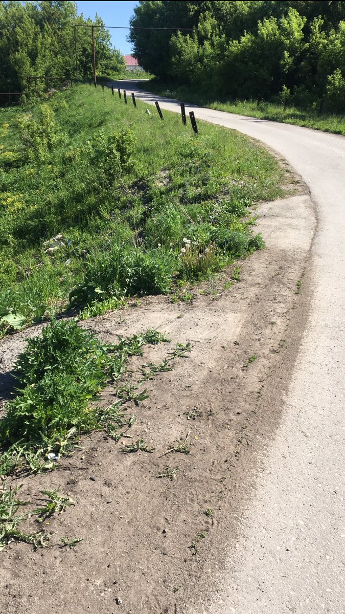 Лариса Андреева tweet media