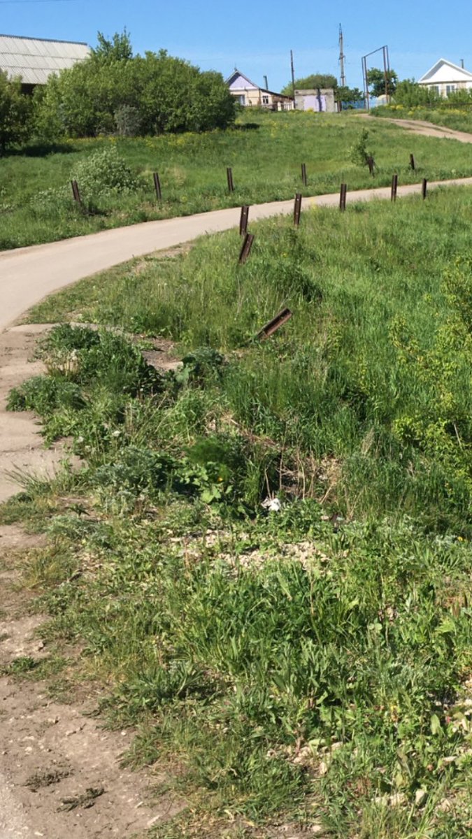 Лариса Андреева tweet media