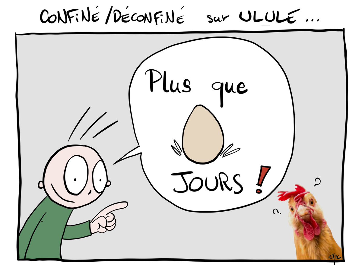 Plus que 9 jours pour soutenir ma campagne de #crowdfunding sur <a href="/ululeFR/">Ulule FR</a> !! 
Vite, donnez, j’ai plus d’idée ! 😱🤘🤩🚀🎉🤣🤣😅

➡️ ulule.com/confine-deconf…

#confinement #deconfinement #covid19 #coronavirus #jeudemots #illustration #dessin #digitalart #chicken #procreate #ulule