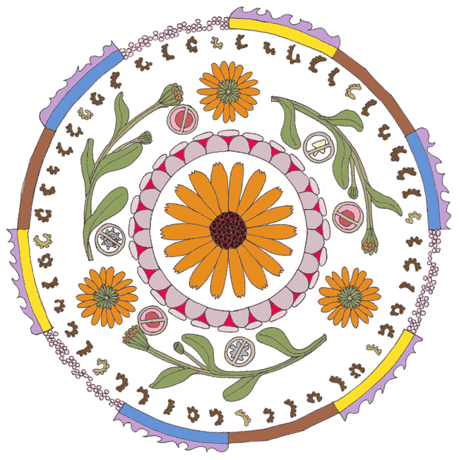 Geneeskracht van Goudsbloem in een mandala. Bekijk de video op YouTube youtu.be/ukzGZmGTAe8 #goudsbloem #plantenliefde #onlinekruidenleer #kruidenleer