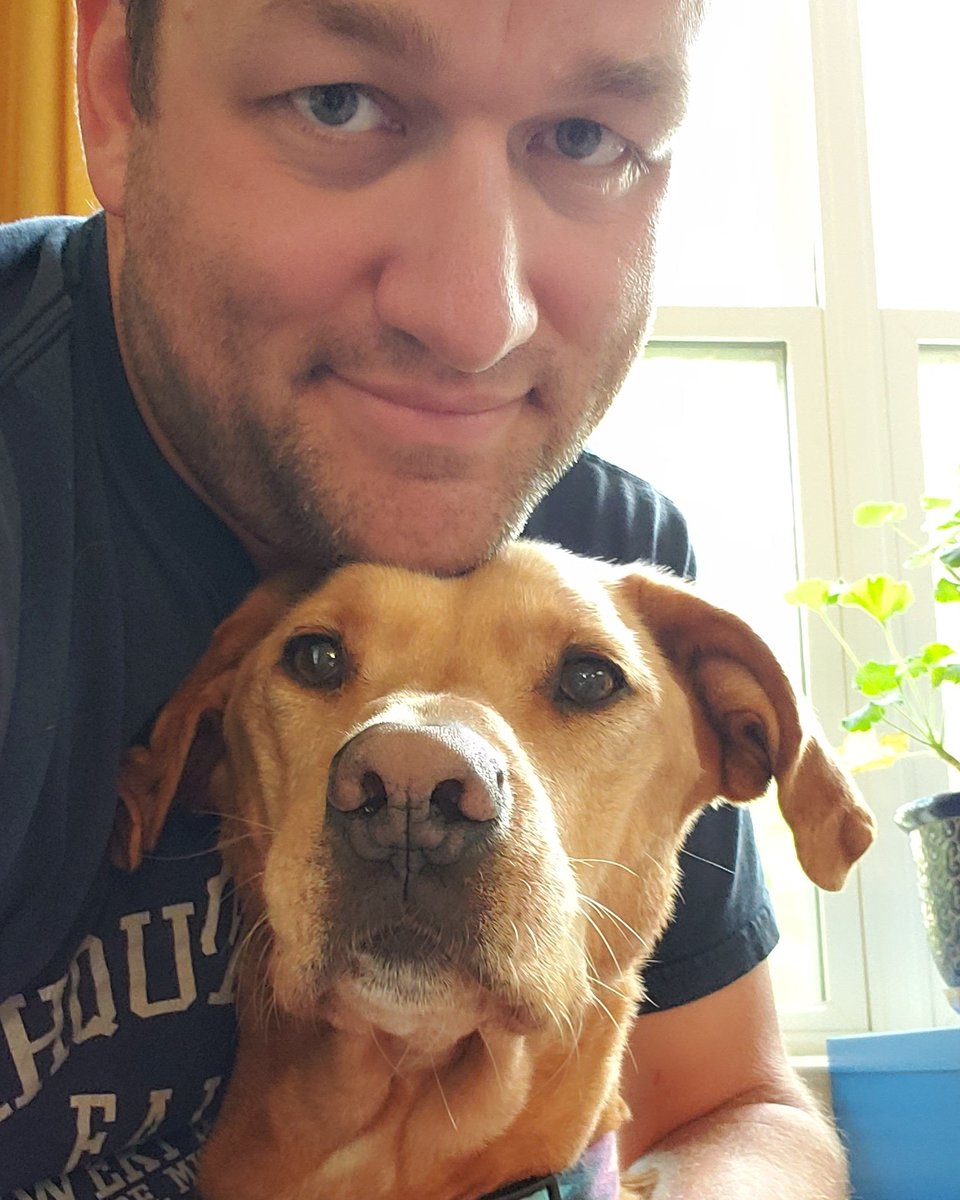 adamclevenger's tweet image. Pumpkin is one very tolerant and patient girl! #teampumpkin #teampico #PumpkinandPico