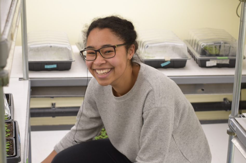 Hello! I’m Jade and I am a PhD student in the  @SpoelLab. I currently work on understanding how plants regulate responses to environmental stress by signalling via oxidants and antioxidant systems.  #BlackBotanistsWeek 1/4