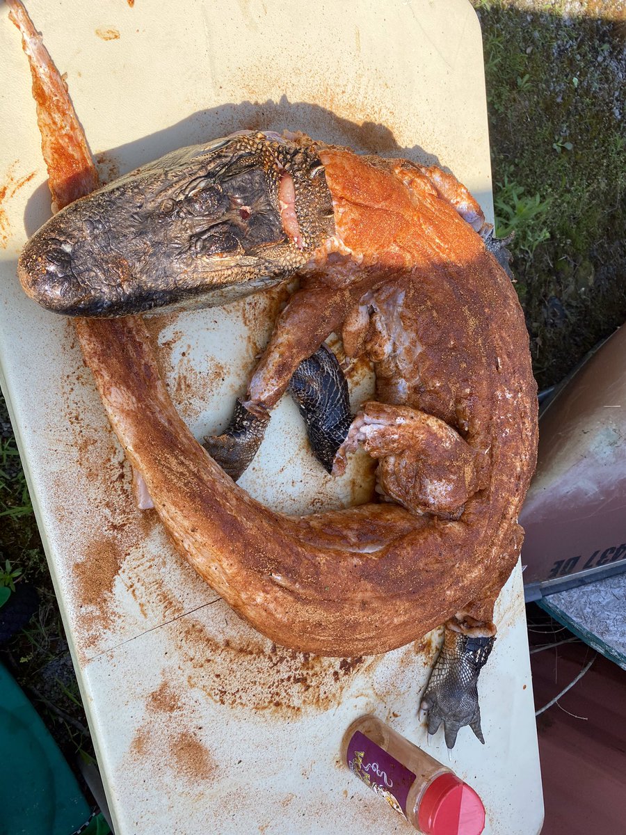 AhGrills's tweet photo. Any interesting cooks for #independenceday2020 ??
I cooked a 31# #gator on a @GMGrills Daniel Boone Prime. Coated with @MeatChurch Holy Voodoo. It was 🔥 🔥 https://t.co/aSi9UtNnld