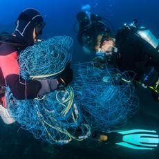 twfarmersmarket's tweet image. New record set for world's largest ocean clean-up
buff.ly/3gmCuJe
#TWFarmersMarket #Saturdays8tonoon #EatShopLiveLocal #ReduceReuseRecycle