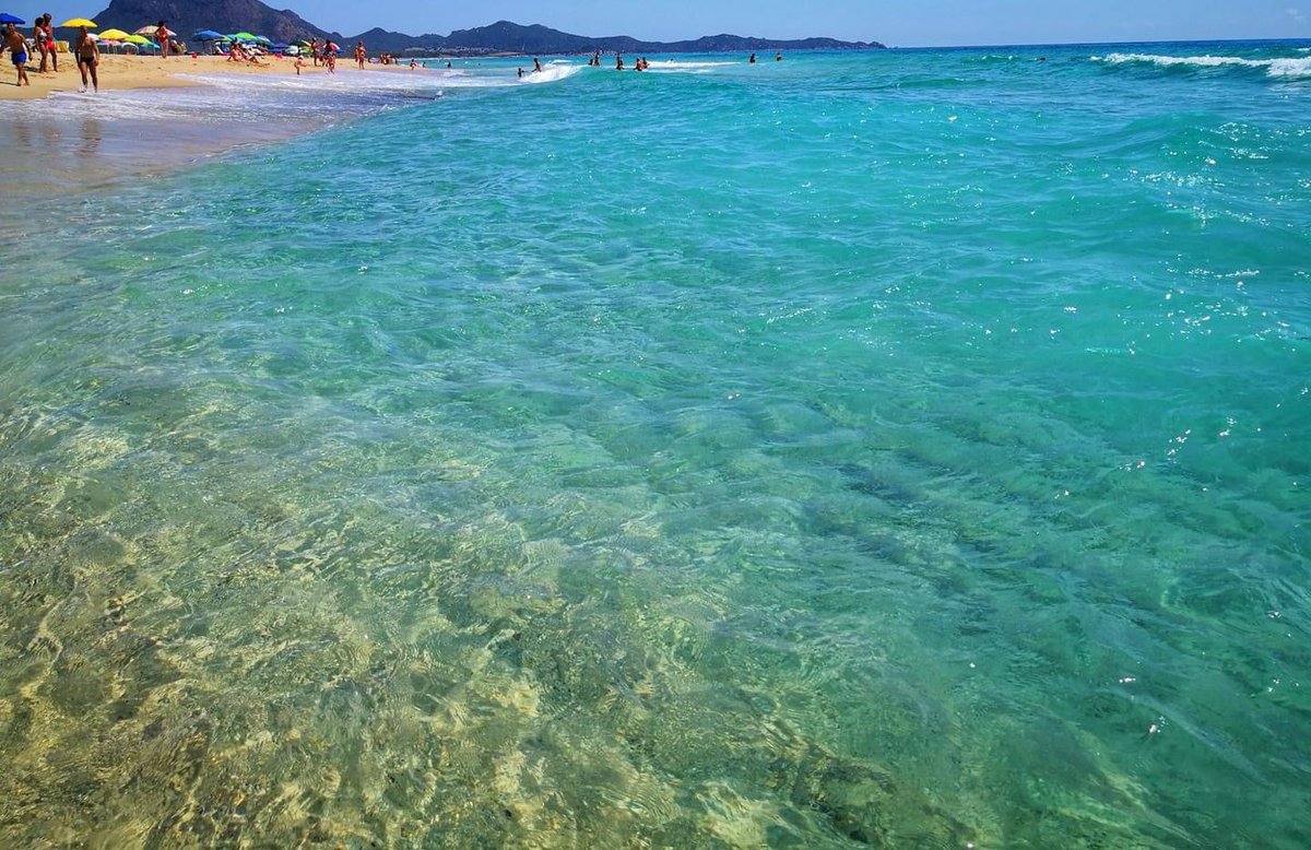 Non_Dirmelo_'s tweet photo. •
Chi non vive in Sardegna in Sicilia o comunque in posti di mare non capirà mai che da noi si chiama normalità! Non ostentazione... https://t.co/sKRbfJA3iF