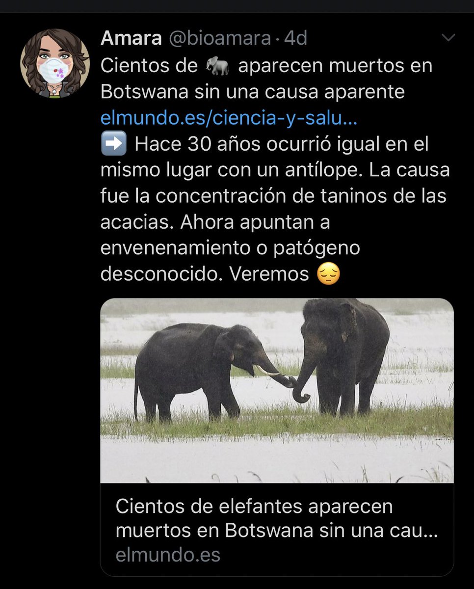 lisspereira's tweet photo. Yo veo estas noticias y solo pienso en DARK, y los pájaros y las ovejas cada 33 años 😱😱😱😱😱😱😱 para los que no han visto la serie es una pendejada, pero  para los que La estamos viendo ..nos pasa un frío cuello abajo 😱😱😱 https://t.co/8SSlxfieM5