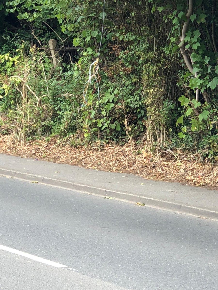 arallan05's tweet photo. @WeAreOpenreach I have been trying to phone you for a week to warn about low cables with no response. They have just been pulled down by a passing vehicle, something that could have been prevented, please come and fix now #helpineedsomebody #notjustanybody https://t.co/VXNNmHbX8W