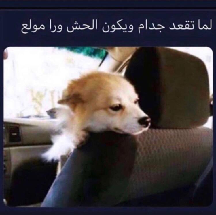 الشَـبح 👻 (@qqq7ii) on Twitter photo 