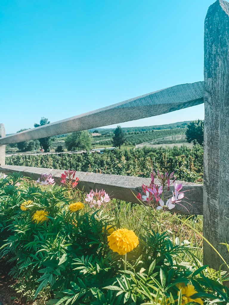 Another Connecticut Monday morning