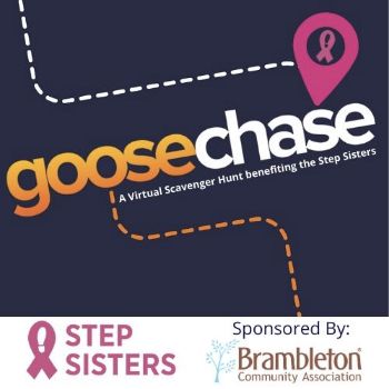 LaceUp4Schools's tweet photo. Join the Step Sisters on a Goosechase! - https://t.co/Nh7B2IPzbn https://t.co/DdOyPpRFby