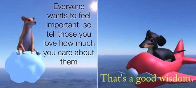 WholesomeMeme's tweet photo. https://t.co/ZwNokx7m8G