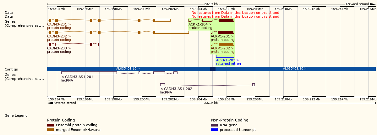 ensembl's tweet photo. Our #GeneOfTheWeek is ACKR1: atypical #chemokine receptor 1 also known as Duffy antigen receptor for chemokines (DARC). Variation in #ACKR1 forms the basis of the #Duffy blood group system and its product serves as the receptor for #malarial parasite.

https://t.co/PhQx2C6Wyg https://t.co/HvpTowY70N