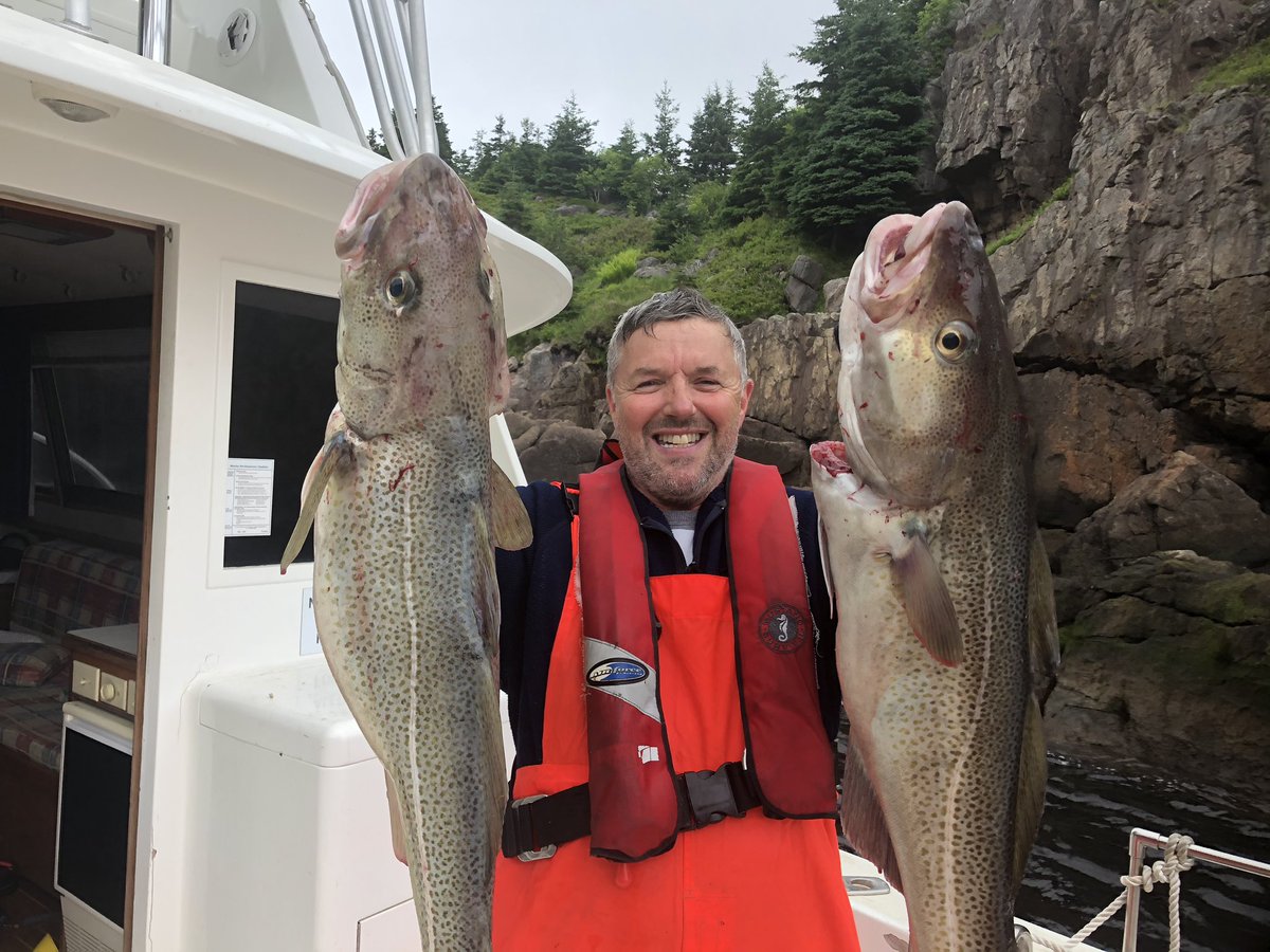 QV Charters tweet media