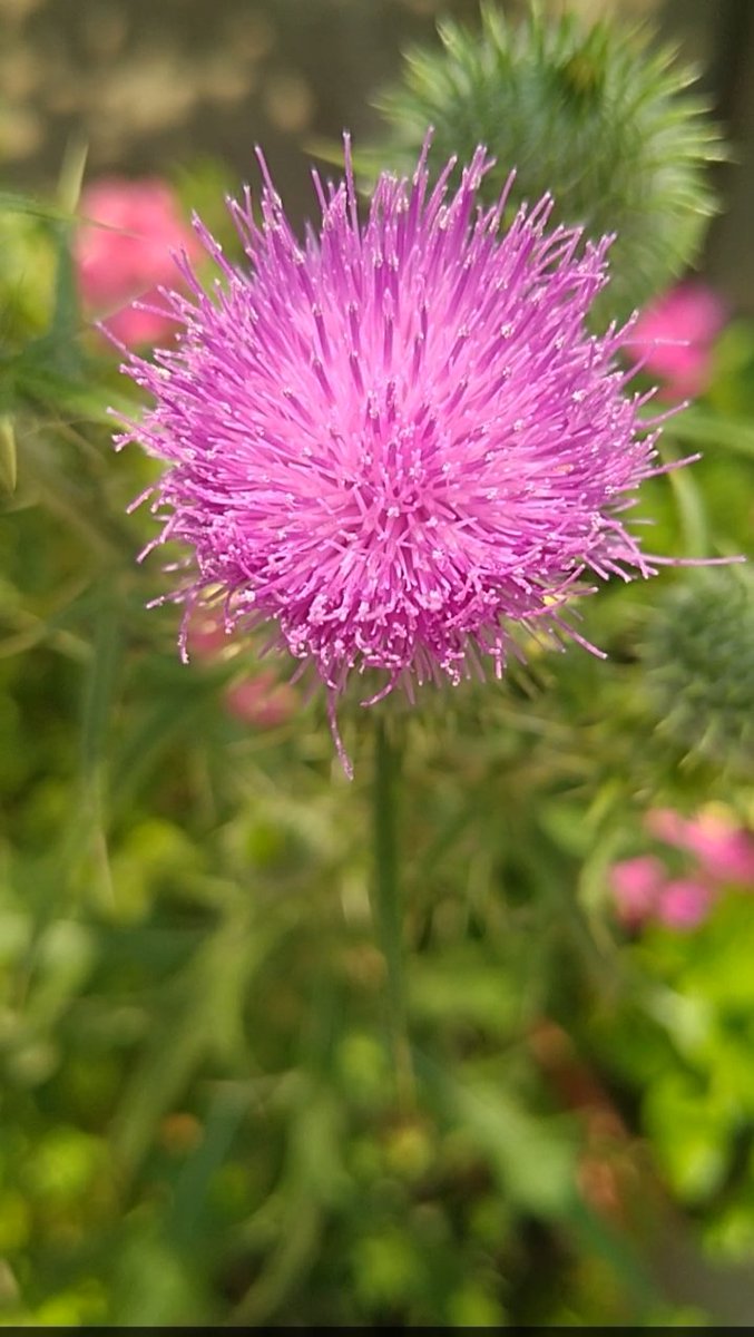 #herseyinbasisaglik.boşuna dememişler kendimiz hastalanınca bir şekilde üstesinden gelebiliyoruz ama ailemizden biri olunca gerçekten çok zor oluyormuş kendimizinden sevdiklerimizinde sağlığına dikkat edelim.#saglikligunler🥰🐝