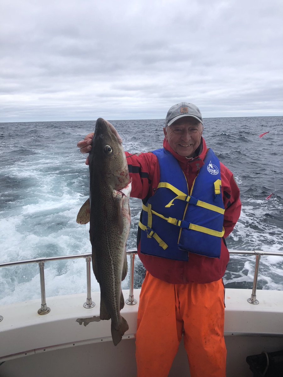 QV Charters tweet media